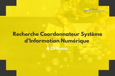 Recrutement : nous recherchons un(e) Coordonnateur Système d’Information Numérique (2 postes disponibles)